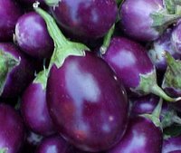 small brinjal