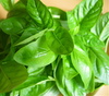 basil