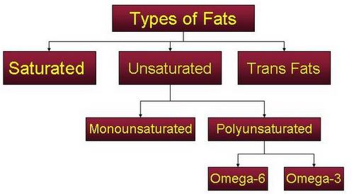 Fatty Acid Chart