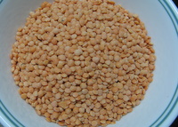 masoor dal red lentils