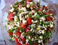 bean sprout salad