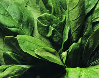 spinach leaves image