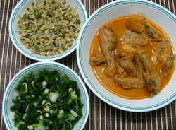 picture of chicken curry, bean sprouts and chopped spring onions for the chicken laksa